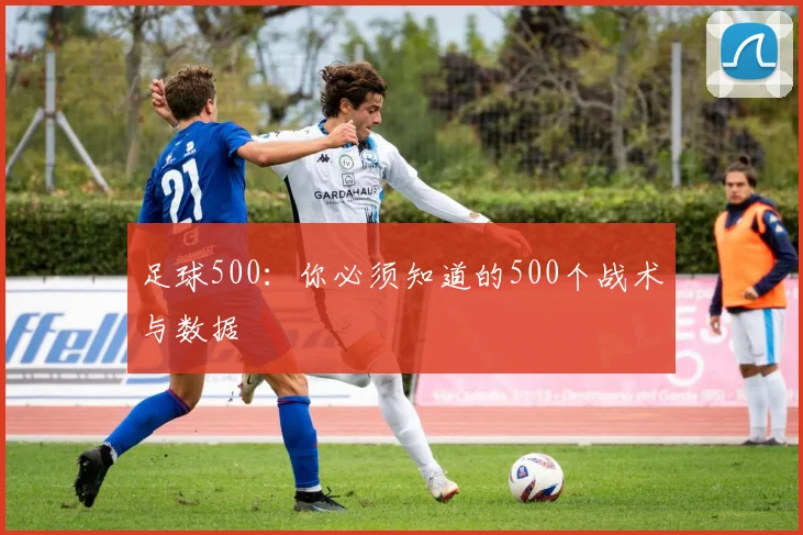 足球500：你必须知道的500个战术与数据