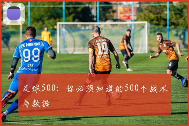 足球500：你必须知道的500个战术与数据
