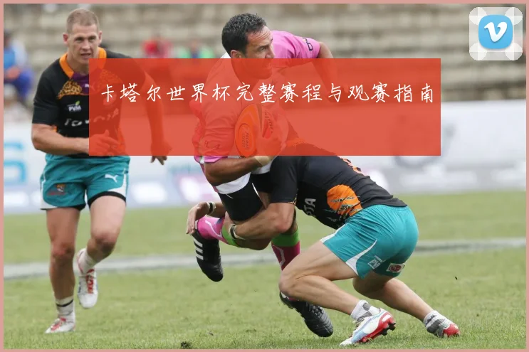卡塔尔世界杯完整赛程与观赛指南